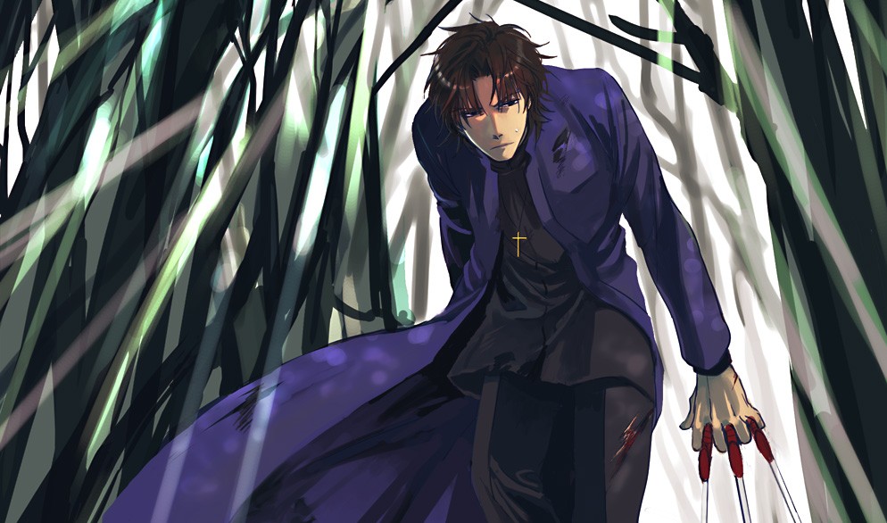 Kirei "Fate/Zero"