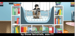 If it's normal for terrorists to have brightly-colored décor, I guess that's a possibility...