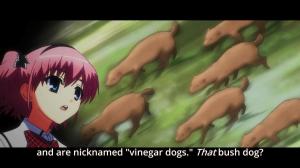 Sachi sure is knowledgeable