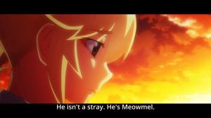 What a lucky cat to be so loved.