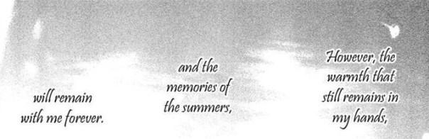 into the forest of fireflies lights hotaru farewell