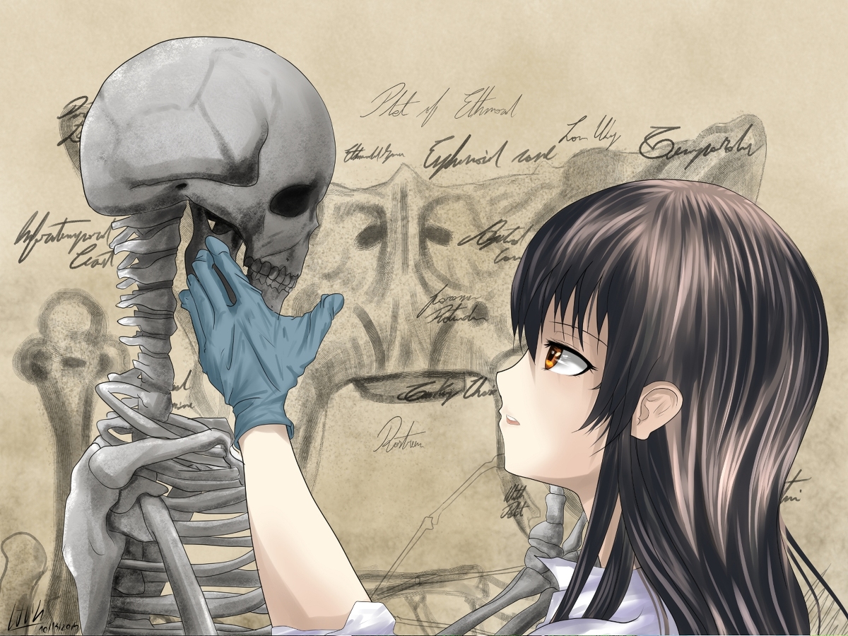 kujou sakurako bones