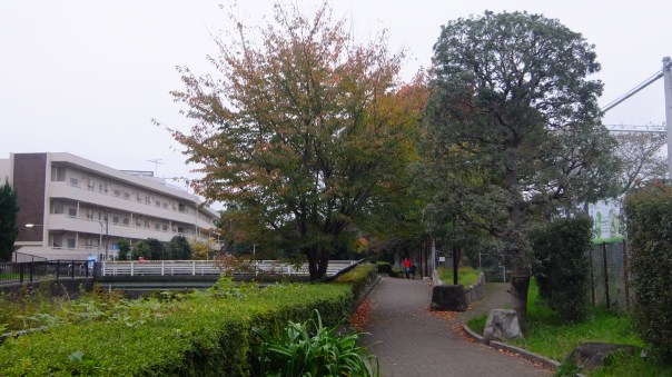 At last, it finally feels like Fall!