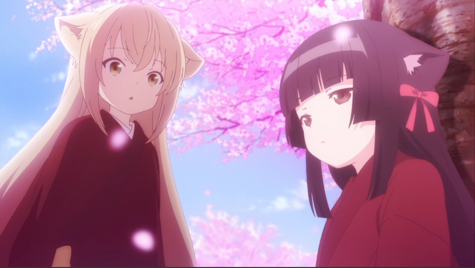konohana kitan yuzu sakura