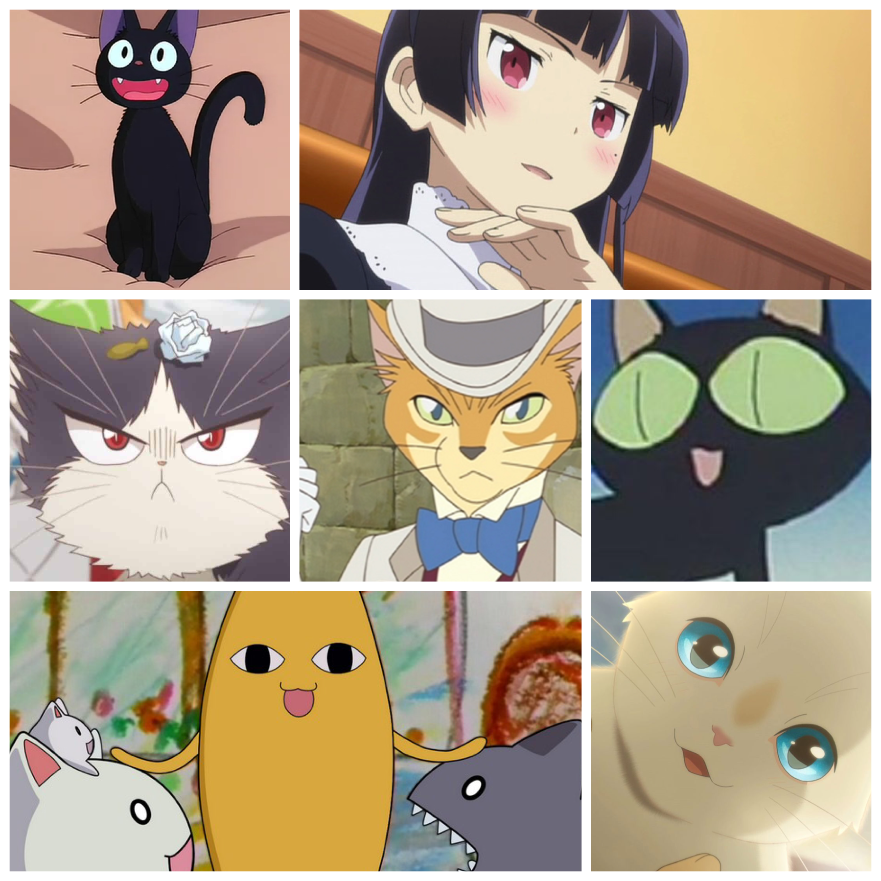 anime cats – Beneath the Tangles