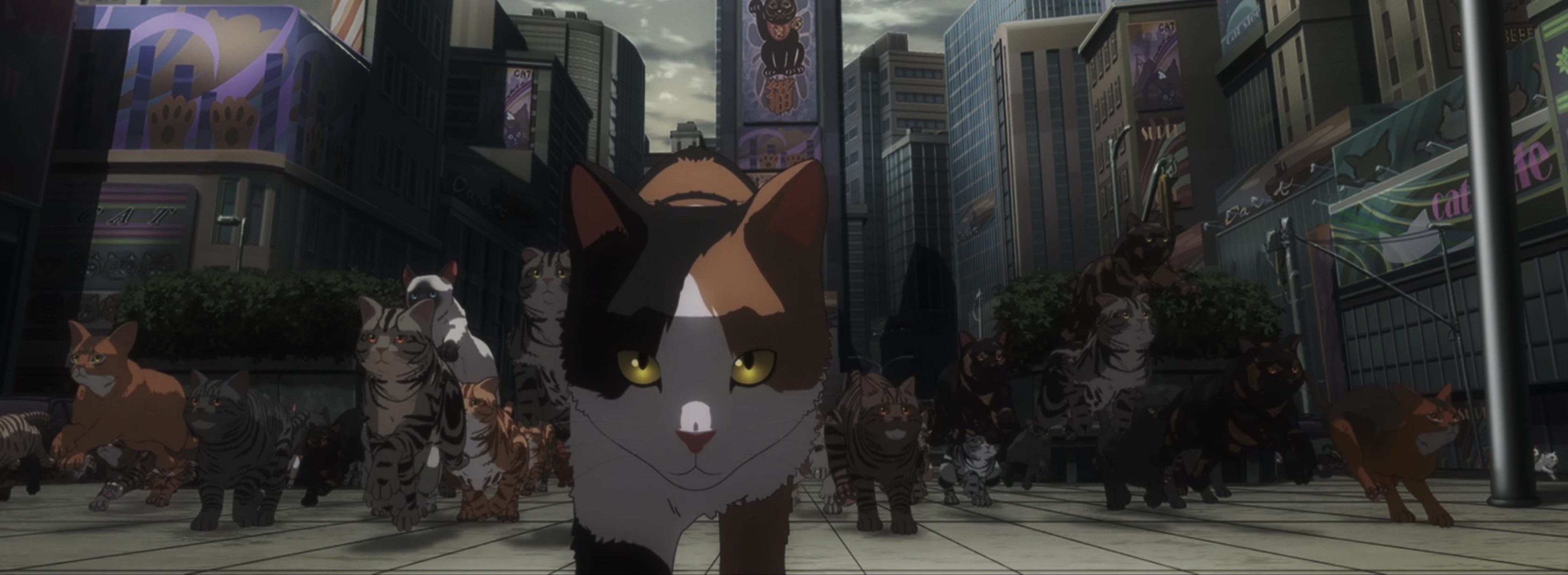 First Impression: Nyaight of the Living Cat – Beneath the Tangles